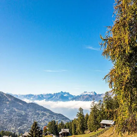 100 M From The Slope *