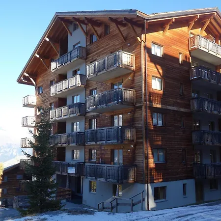 100 M From The Slope