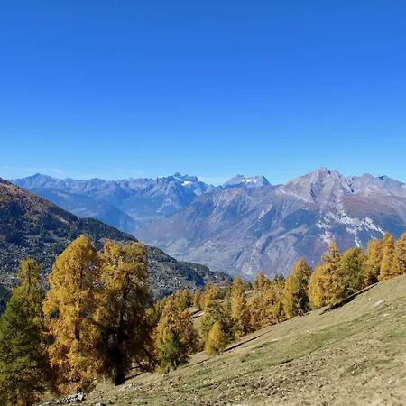 100 M From The Slope شقة