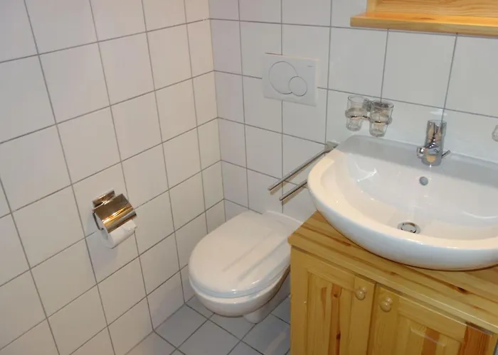 100 M From The Slope * Nendaz