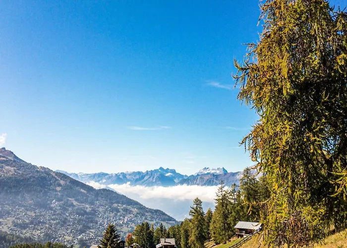 100 M From The Slope *