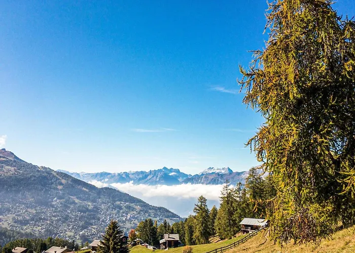 100 M From The Slope * Nendaz