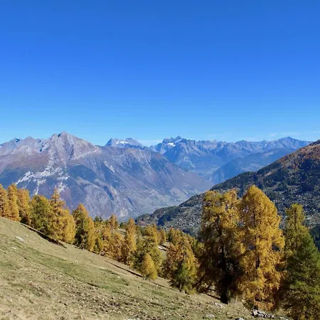 Apartman 100 M From The Slope Nendaz